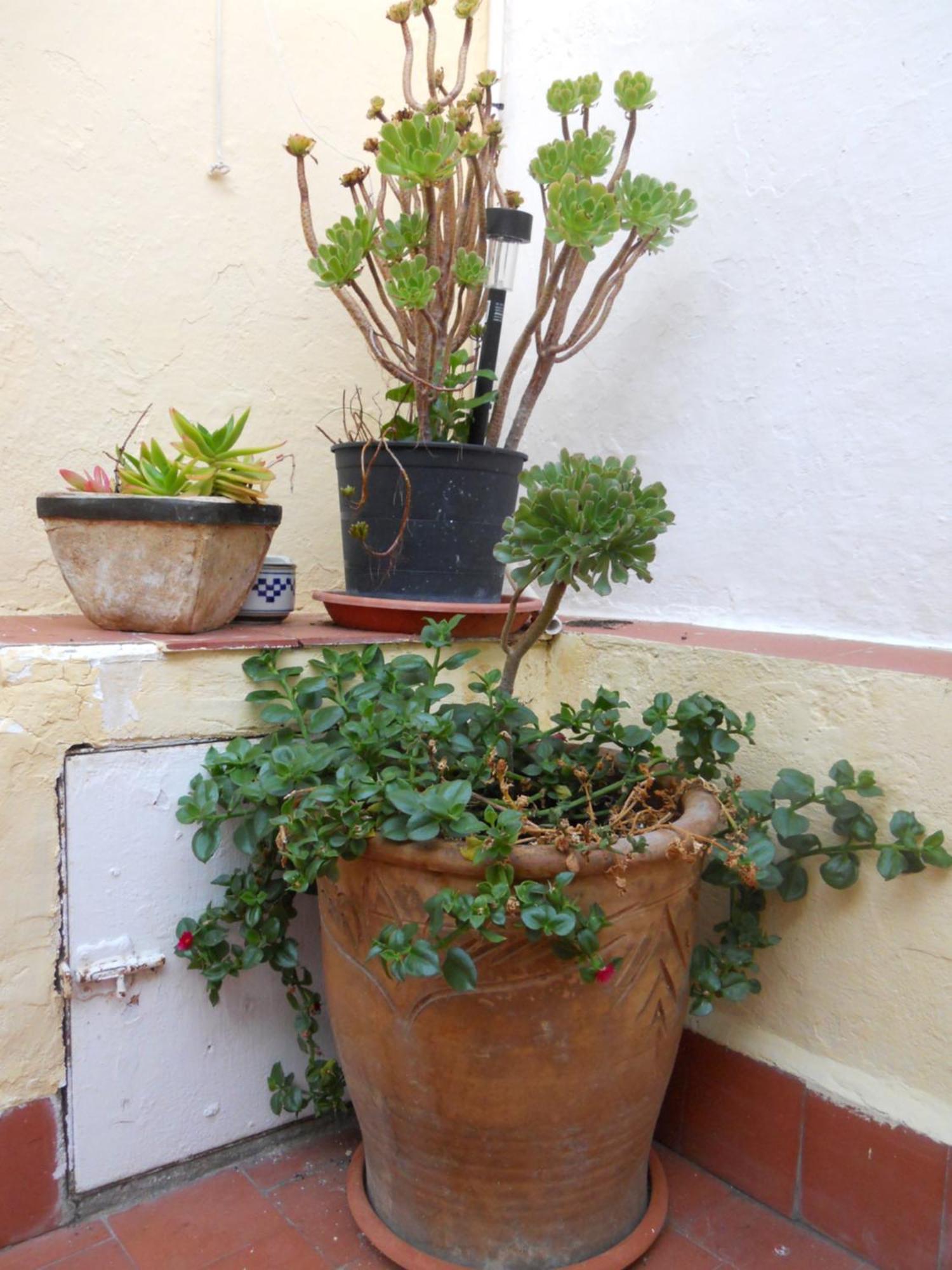 Caces Naturalia: La Casita Con Patio المظهر الخارجي الصورة